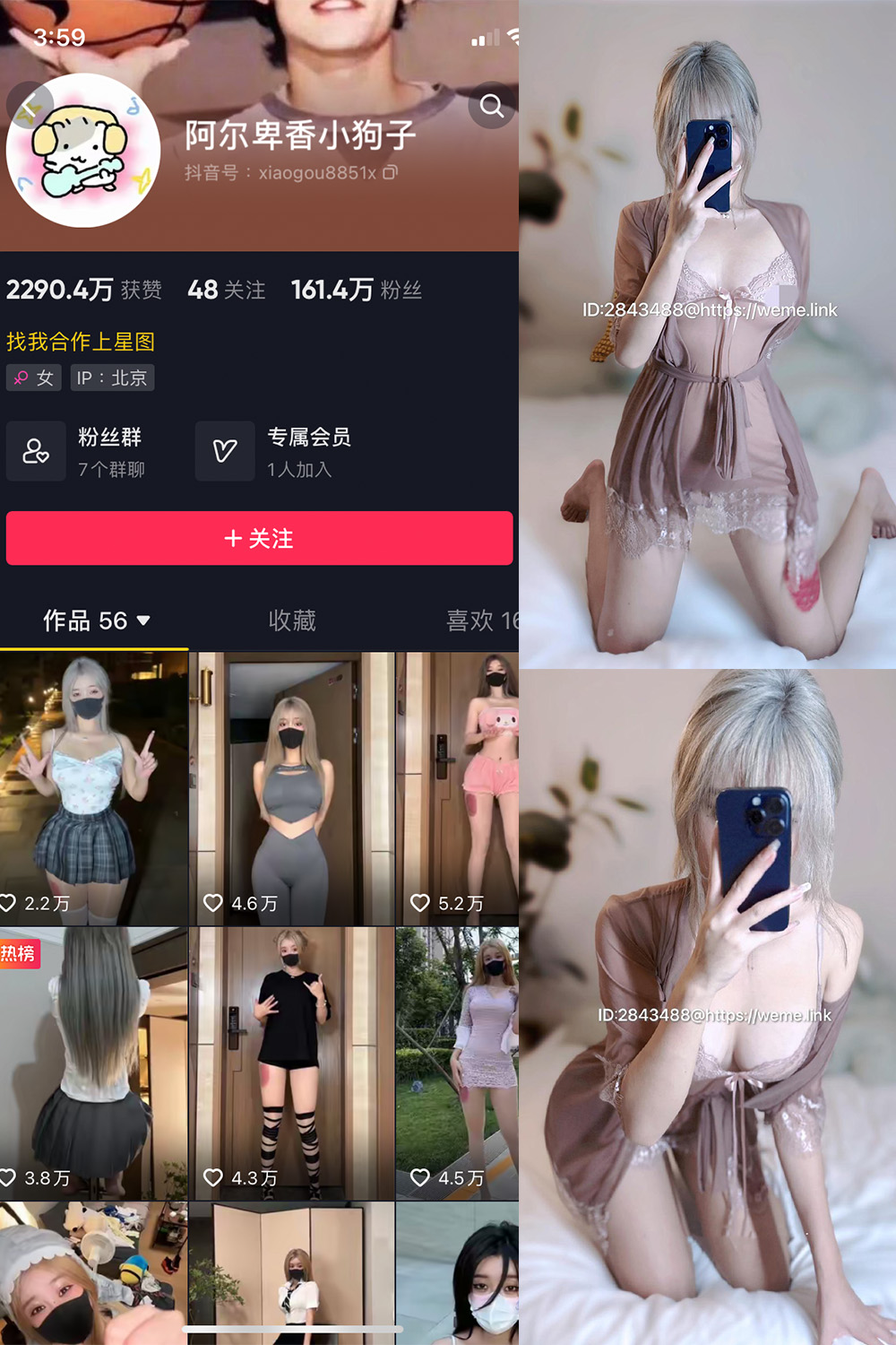 抖音 阿尔卑香小狗子 微密圈  NO.045期 【39P】最新至：2026.6.9-温柔乡.cn