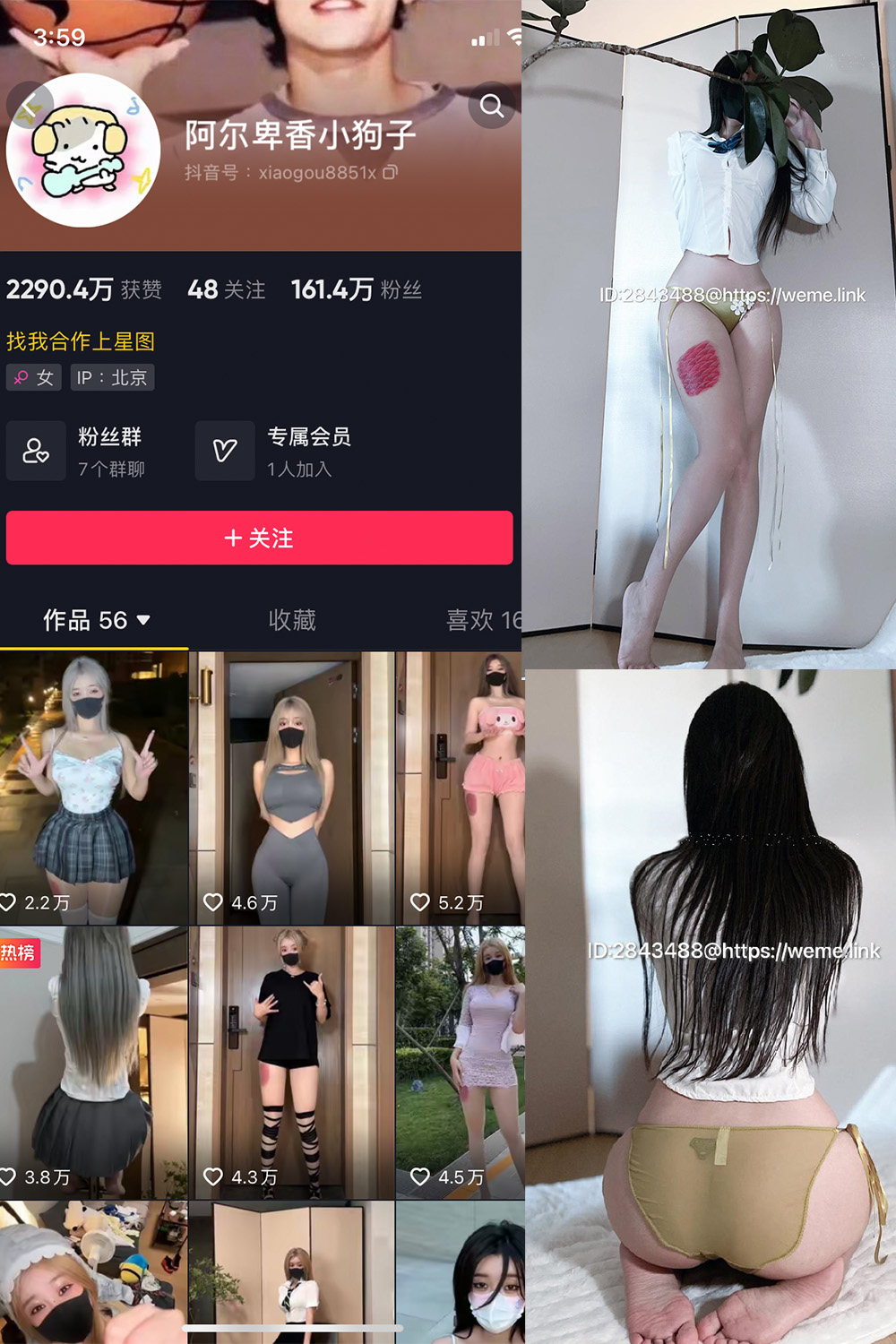 抖音 阿尔卑香小狗子 微密圈  NO.047期 【39P】最新至：2024.6.10-温柔乡.cn