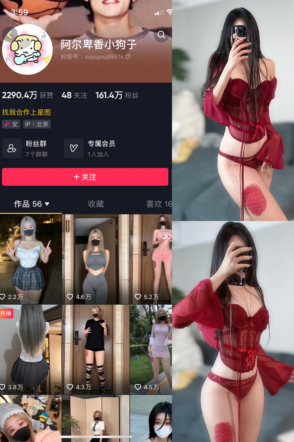 抖音 阿尔卑香小狗子 微密圈  NO.056期 【10P2V】最新至：2024.8.25-温柔乡.cn